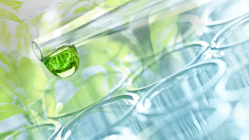 progam-przeciw-plesni-i-bakterii-eco-tech-haus